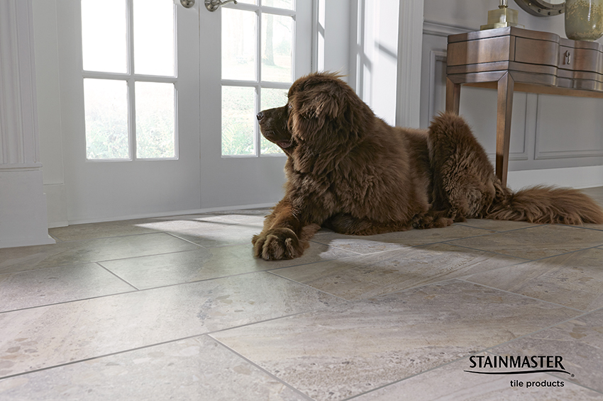 Coles Fine Flooring | Pet-Friendly Flooring