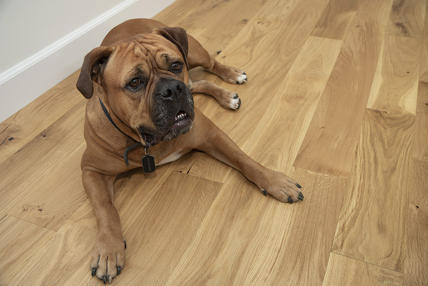 Coles Fine Flooring | Pet-Friendly Flooring