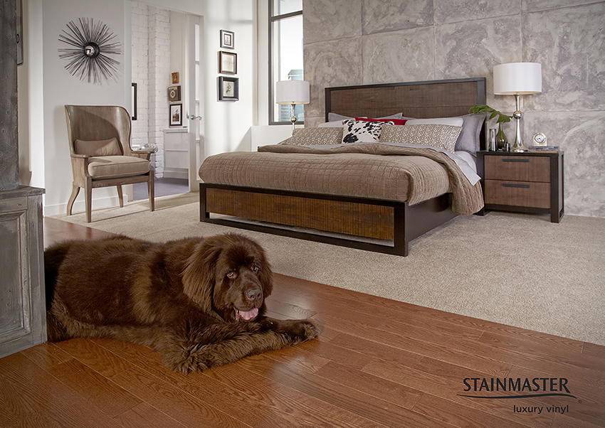 Coles Fine Flooring | Luxury Vinyl Plank