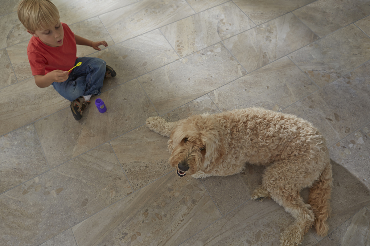 Coles Fine Flooring | Best Flooring Choices for Pets