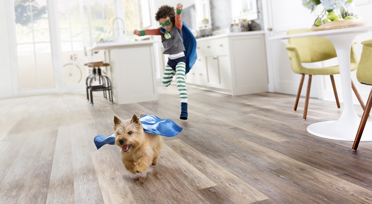 Coles Fine Flooring | Best Flooring Choices for Pets