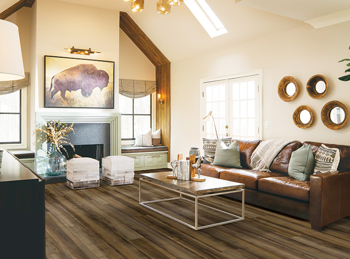 Coles Fine Flooring | Karastan Luxury Vinyl Plank living room