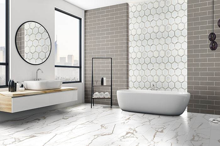 Coles Fine Flooring | MSI Tile modern bathroom