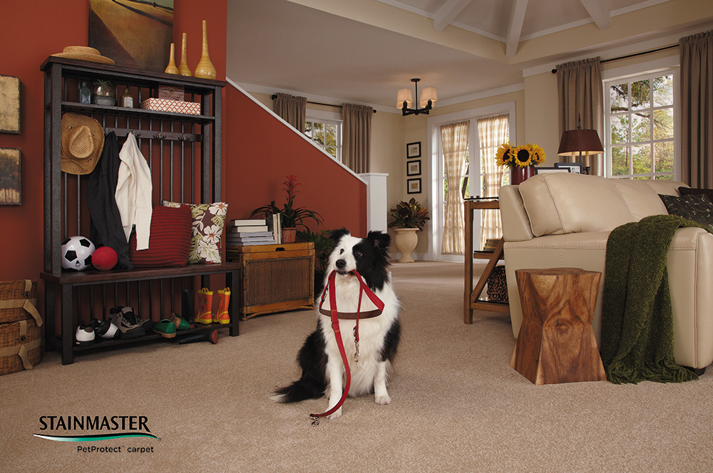 Stainmaster Platinum Collection carpet Lifetime Limited Warranty