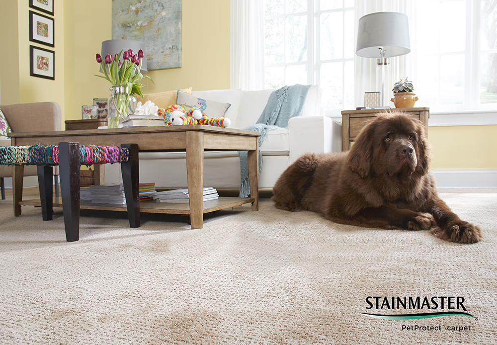 Stainmaster PetProtect Collection | Durable Carpet For Pets