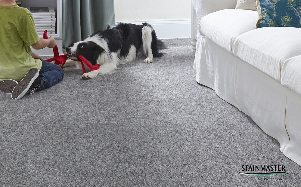 Stainmaster Platinum Collection carpet Lifetime Limited Warranty