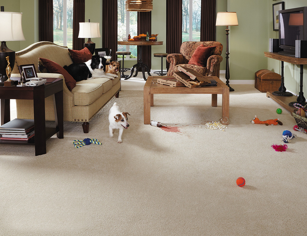 Coles Fine Flooring | Pet-friendly Decorating Tips