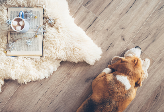 Coles Fine Flooring | Get your home ready for holiday guests