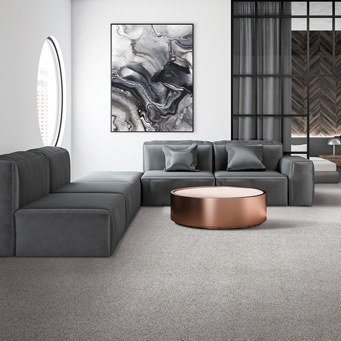 Coles Fine Flooring | Modern living room Karastan Kashmere Nylon