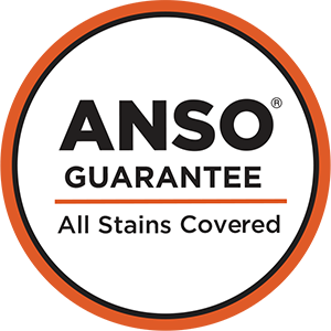 Coles Fine Flooring | Anso Nylon carpet