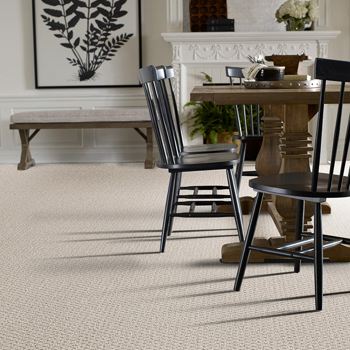 Coles Fine Flooring | Anso Nylon carpet