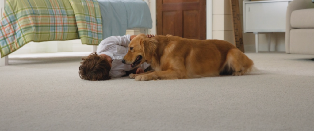 Coles Carpet Remnant kid with dog